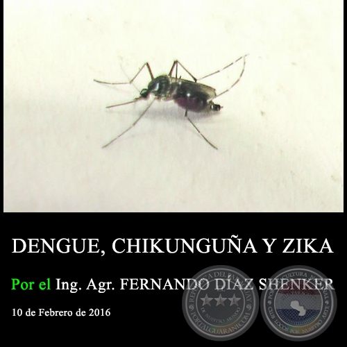 DENGUE, CHIKUNGUA Y ZIKA - Ing. Agr. FERNANDO DAZ SHENKER - 10 de Febrero de 2016